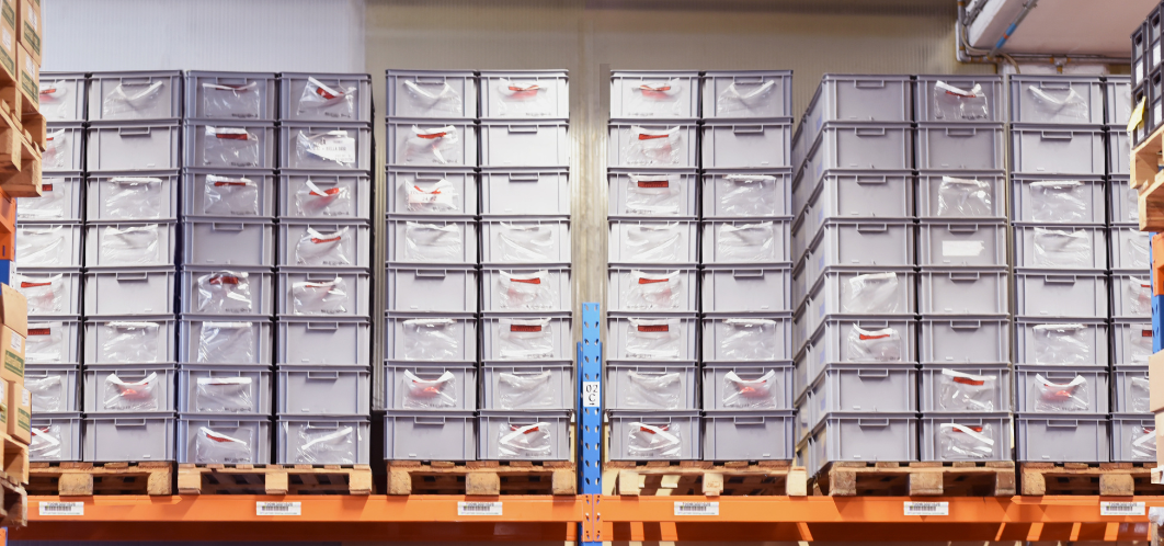 Frascold, sustainability as a driver of efficiency
